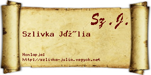 Szlivka Júlia névjegykártya
